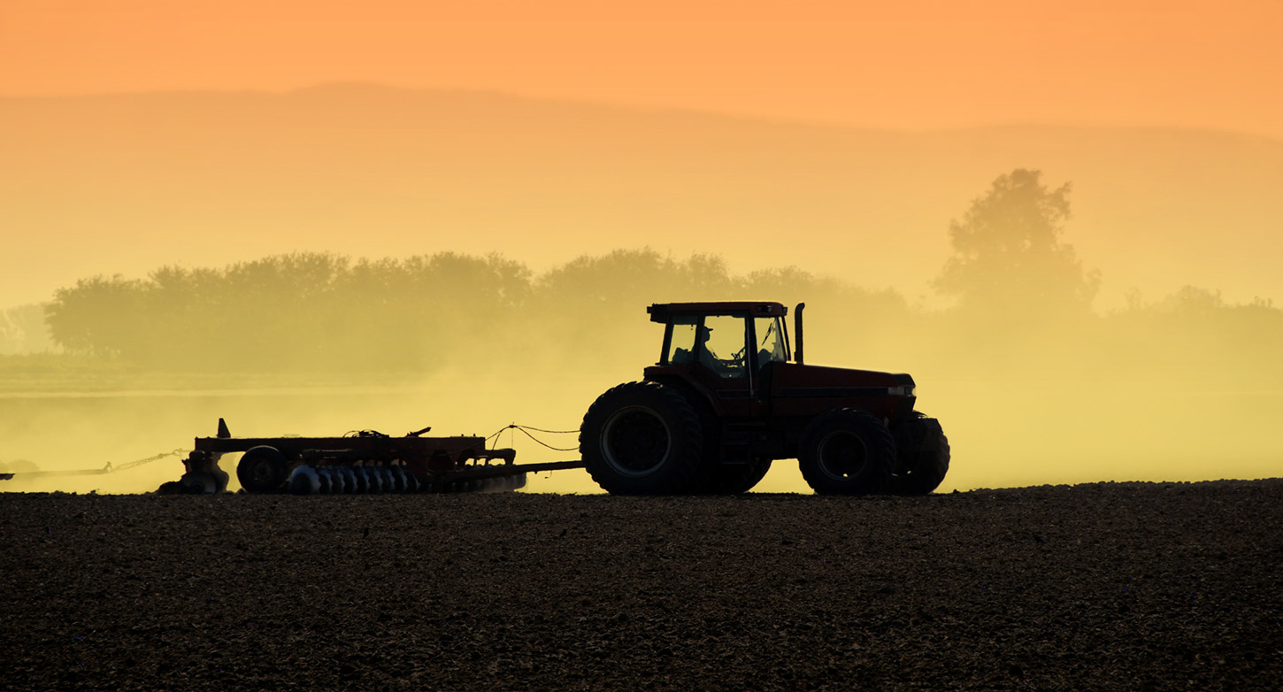 Our Farmers - Sun Valley Rice